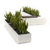 Launching: Strata - Park and Planter